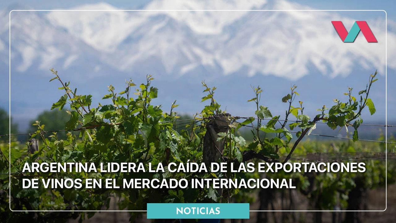 exportaciones de vino