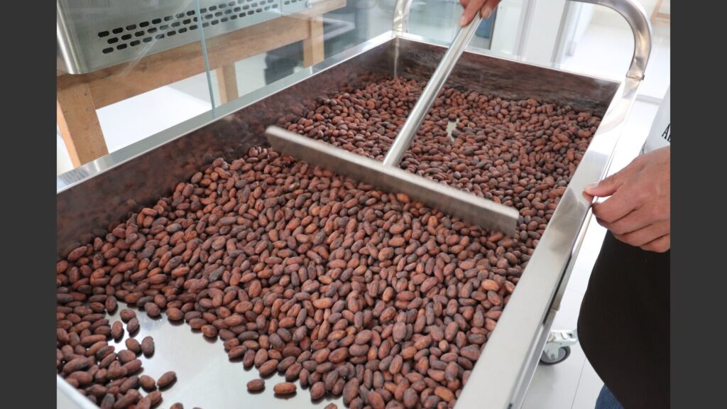 exportaciones de cacao